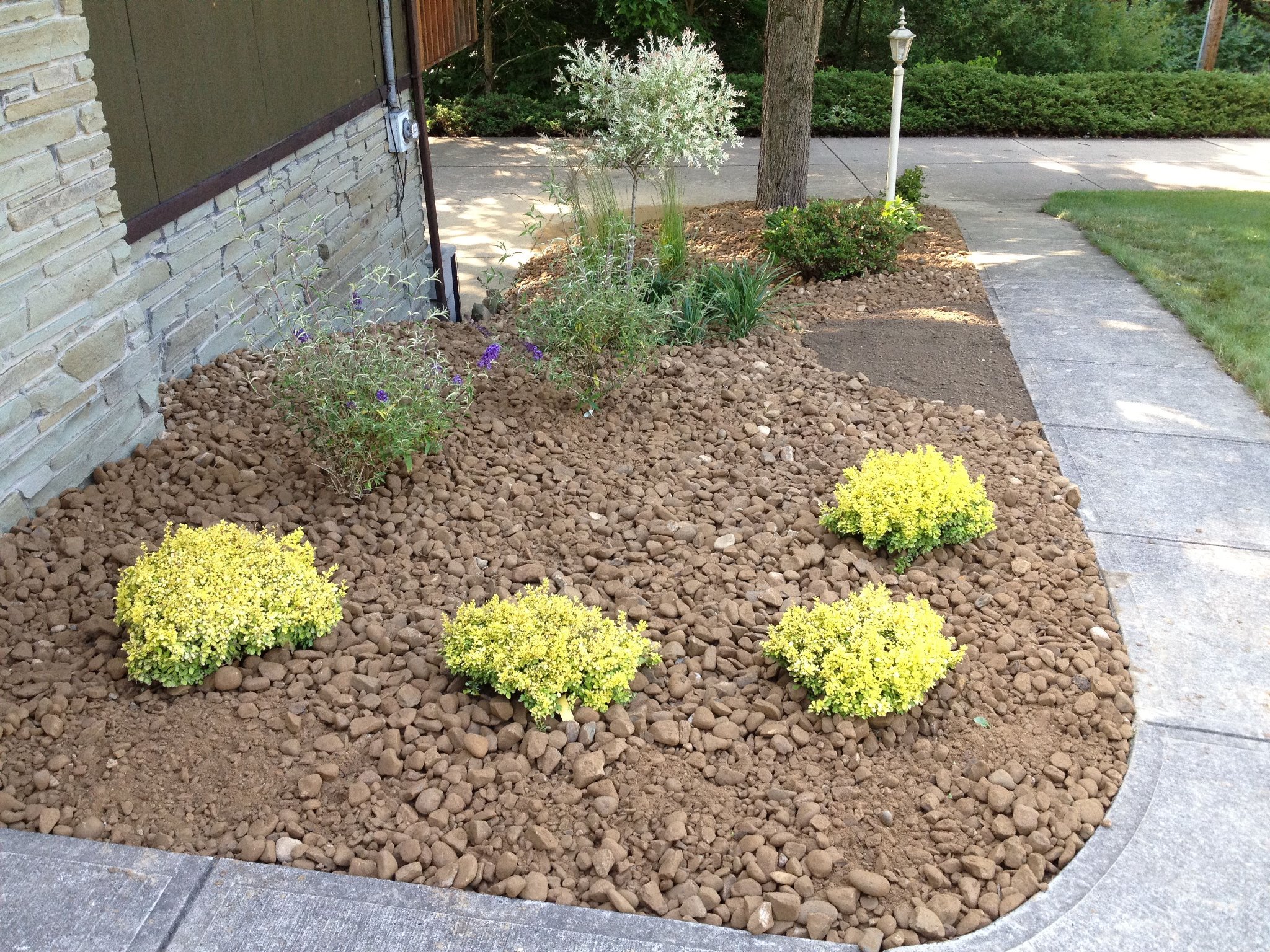 Lawn Care Butler, PA WD Landscape Management